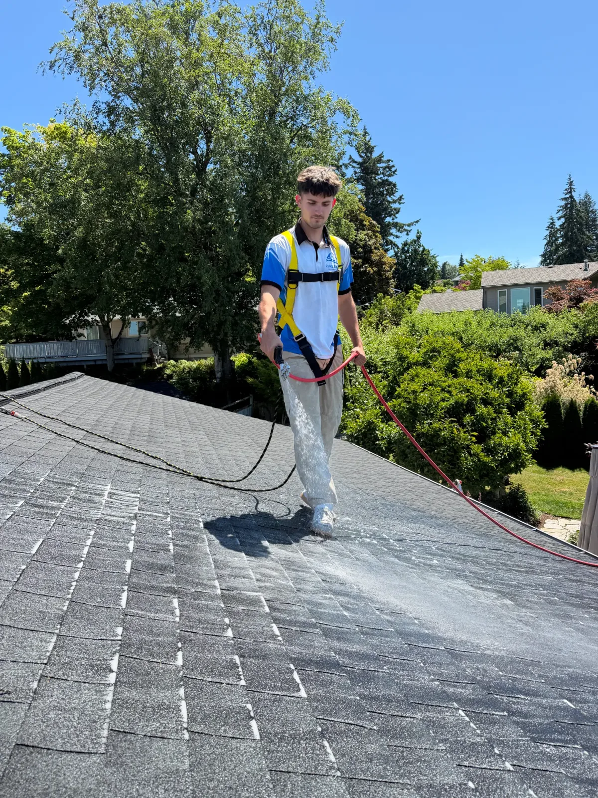 Pure Shine technician applying soft-wash treatment to an asphalt roof